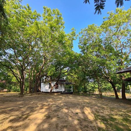 Hotel Katagamuwa Rest Kataragama Exteriér fotografie