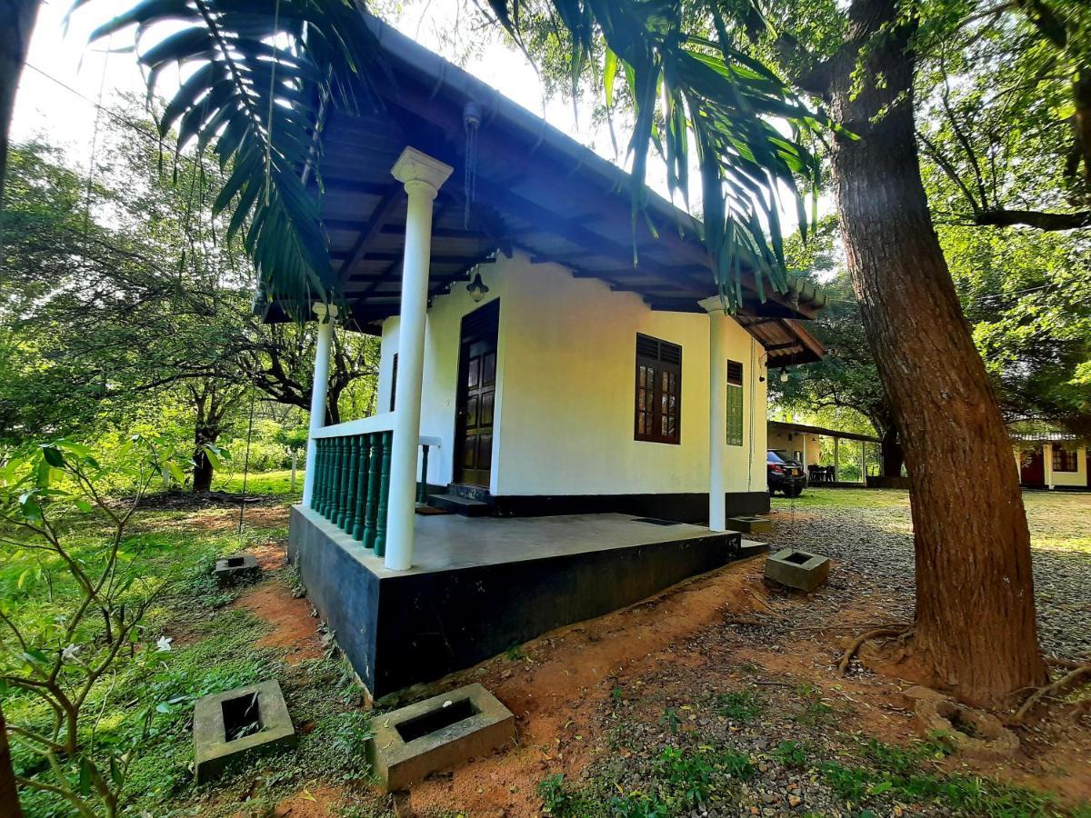 Hotel Katagamuwa Rest Kataragama Exteriér fotografie
